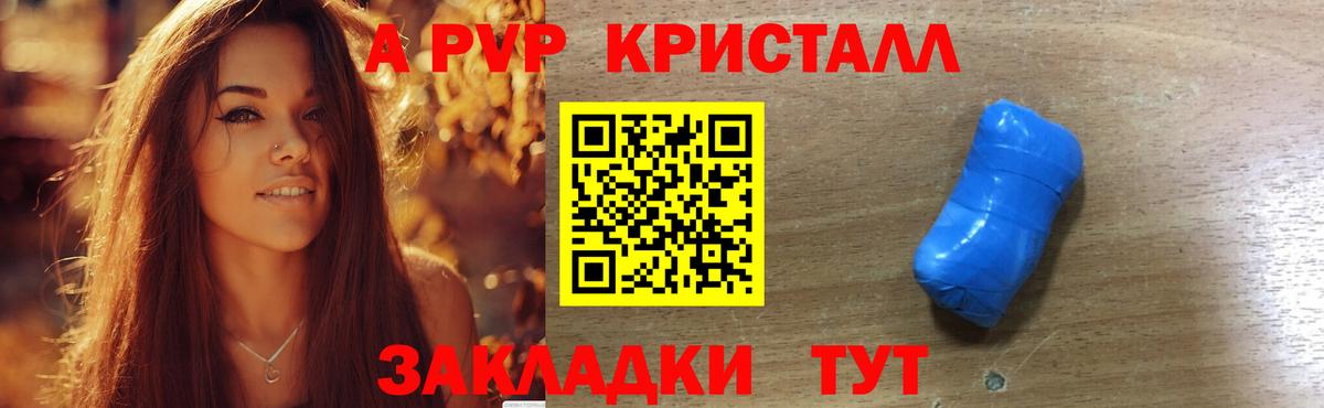Альфа ПВП СК Великий Новгород