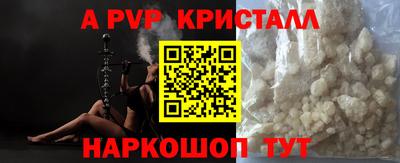 индика Гай